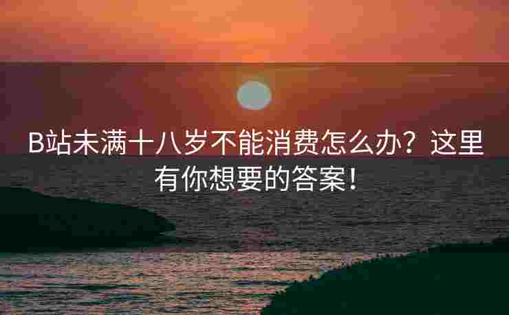 B站未满十八岁不能消费怎么办？这里有你想要的答案！