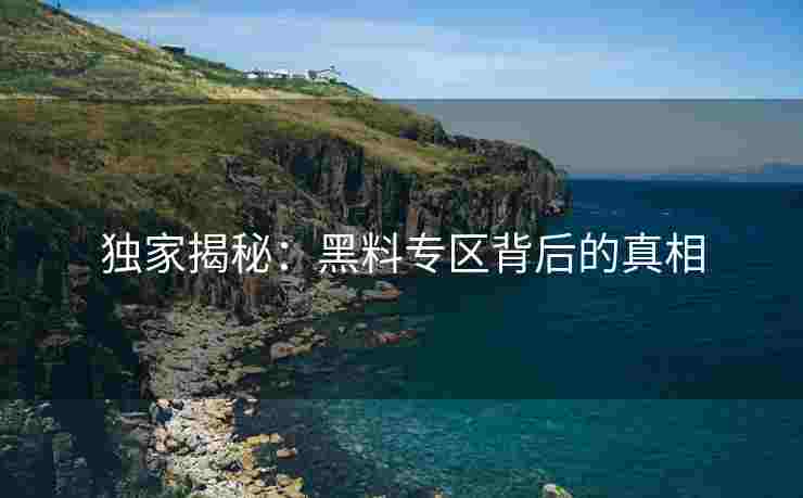 独家揭秘：黑料专区背后的真相