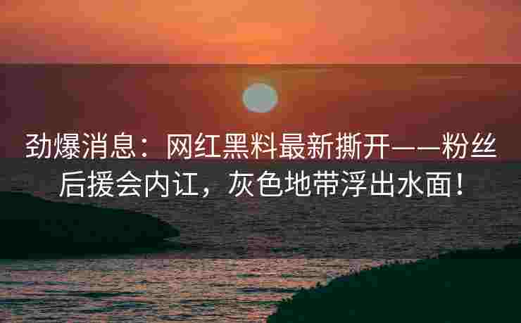 劲爆消息：网红黑料最新撕开——粉丝后援会内讧，灰色地带浮出水面！