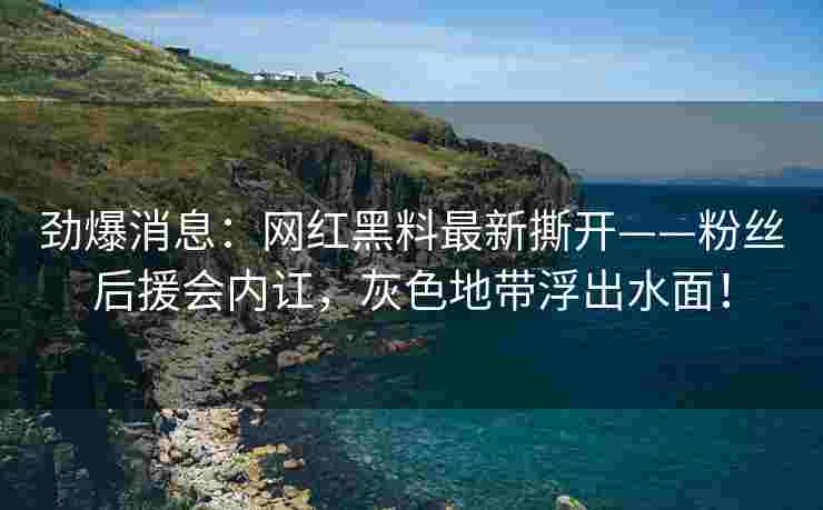 劲爆消息：网红黑料最新撕开——粉丝后援会内讧，灰色地带浮出水面！