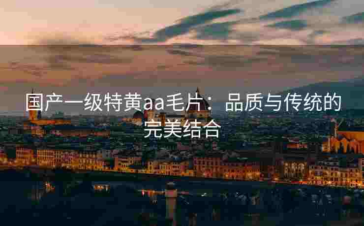 国产一级特黄aa毛片：品质与传统的完美结合