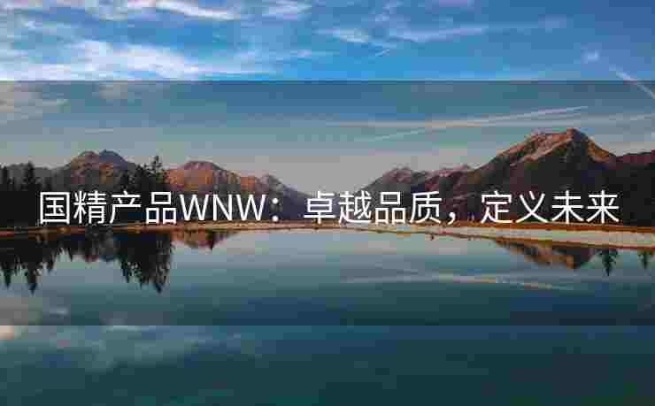 国精产品WNW：卓越品质，定义未来