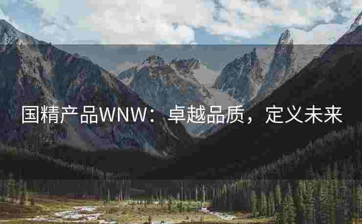 国精产品WNW：卓越品质，定义未来