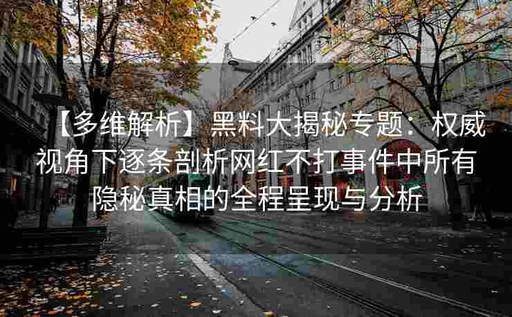 【多维解析】黑料大揭秘专题：权威视角下逐条剖析网红不打事件中所有隐秘真相的全程呈现与分析