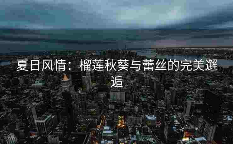 夏日风情：榴莲秋葵与蕾丝的完美邂逅