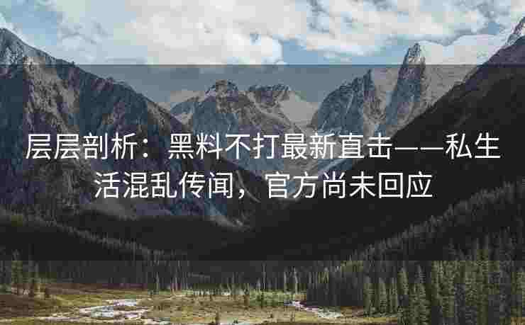 层层剖析：黑料不打最新直击——私生活混乱传闻，官方尚未回应