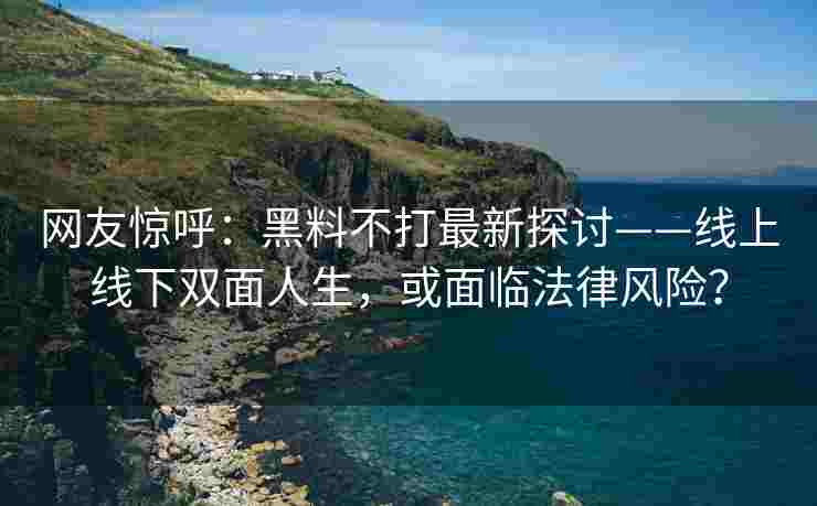 网友惊呼：黑料不打最新探讨——线上线下双面人生，或面临法律风险？