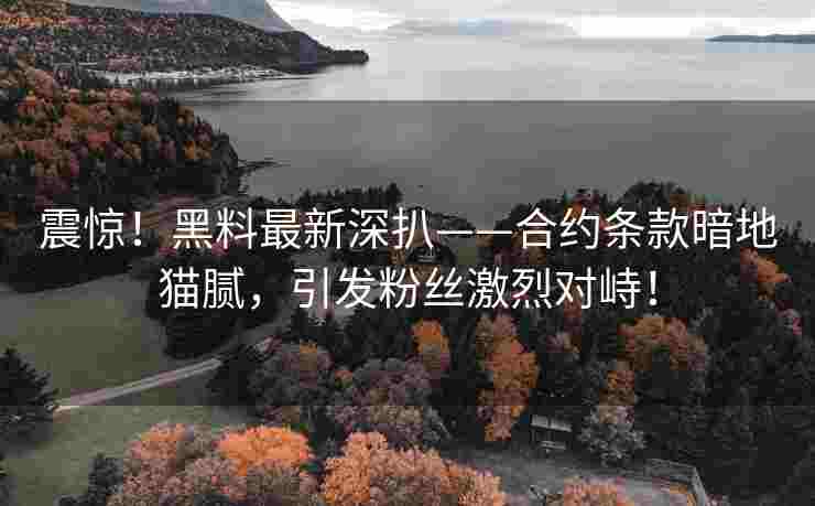 震惊！黑料最新深扒——合约条款暗地猫腻，引发粉丝激烈对峙！