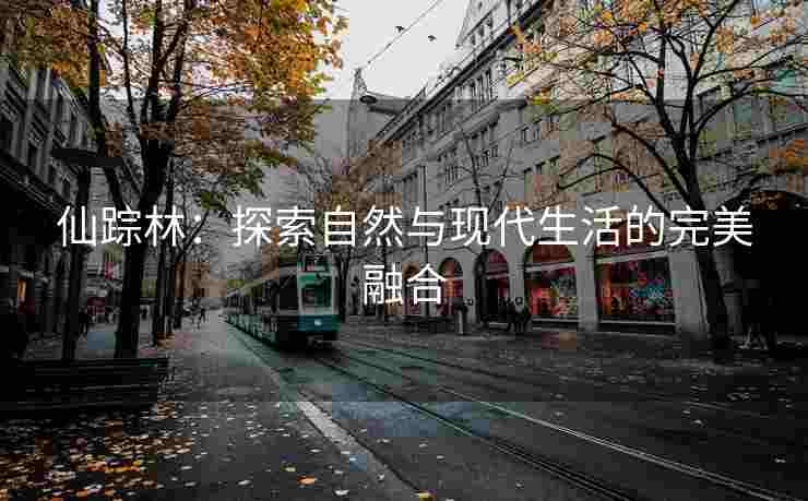 仙踪林：探索自然与现代生活的完美融合