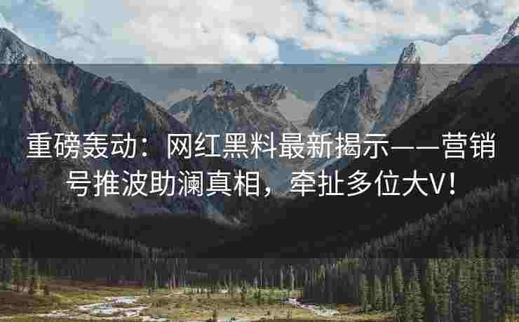 重磅轰动：网红黑料最新揭示——营销号推波助澜真相，牵扯多位大V！