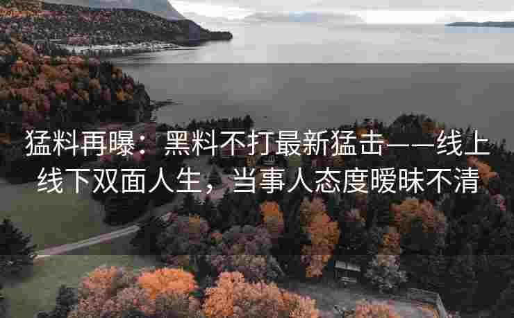 猛料再曝：黑料不打最新猛击——线上线下双面人生，当事人态度暧昧不清